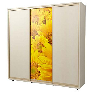 Шафа-купе 3Д, Стандарт, Дуб молочний, Наповнення - 1, Фасад - ДСП 2 шт, фотодрук №1009 1 шт, Профіль - золото беж. глянець, Київський Стандарт