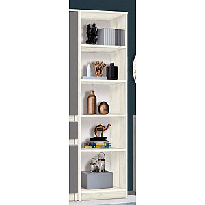 Пенал Кенон, Modern БЦ