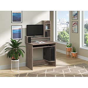 Комп'ютерний стіл Практик, Пехотін