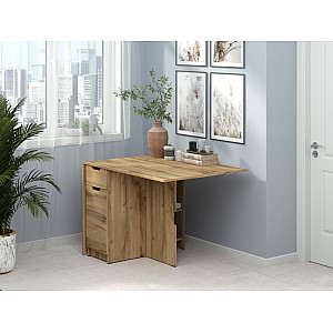 Письмовий стіл-книжка 4, Пехотін