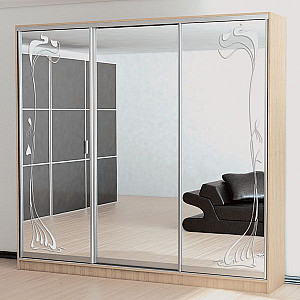 Шафа-купе 3д (2 шт. худ. мат. № 303, 1 шт. дзеркало) Mebel Star