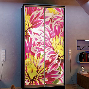 Шафа-купе 2д (2 шт. фотодрук е-438) Mebel Star