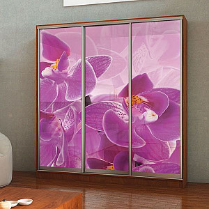 Шафа-купе 3д (3 шт. фотодрук е 440) Mebel Star