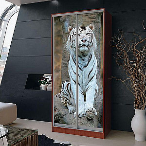 Шафа-купе 2д (2 шт. фотодрук g-173) Mebel Star