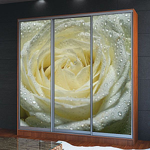 Шафа-купе 3д (3 шт. фотодрук g-428) Mebel Star