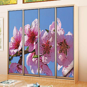 Шафа-купе 4д (4 шт. фотодрук е 063) Mebel Star