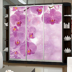 Шафа-купе 3д (3 шт. фотодрук е 371) Mebel Star