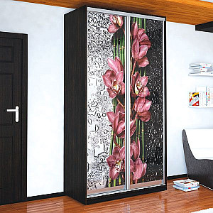 Шафа-купе 2д (2 шт. фотодрук g-512) Mebel Star