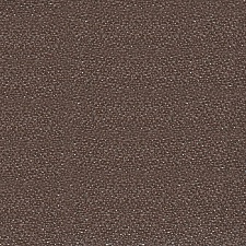 450_ZT_18.jpg
