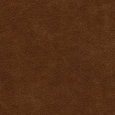 450_Micro_H.jpg