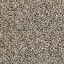 450_ZT_11.jpg