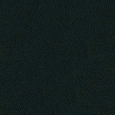 450_V_4.jpg