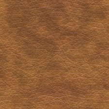 450_ECO_13.jpg