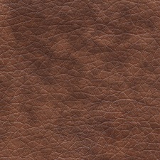 450_ECO_21.jpg