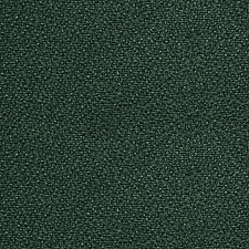 450_ZT_22.jpg