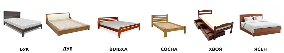01.jpg 01.jpg